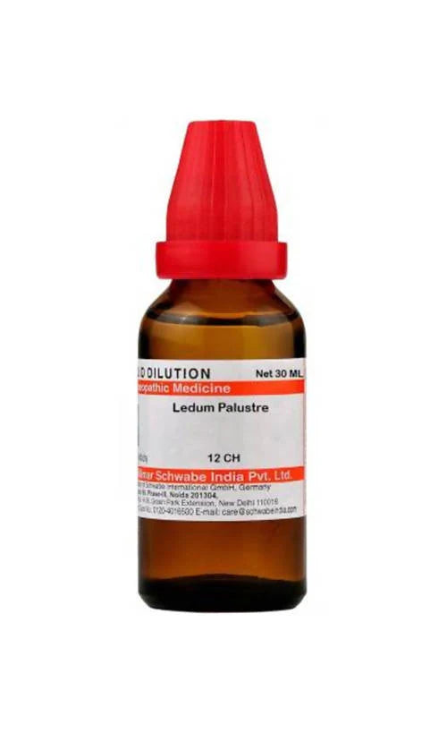 Dr. Willmar Schwabe India Ledum Palustre Dilution -6 CH