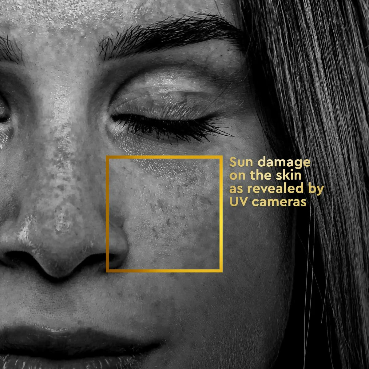 VLCC Clinic ProDefense All Day Cream