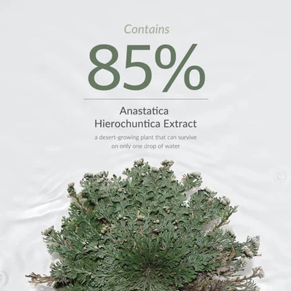 Dr.Althea Resurrection Plant Conditioning Toner: Hydrating & Skin Barrier Repair Toner - 250 ml
