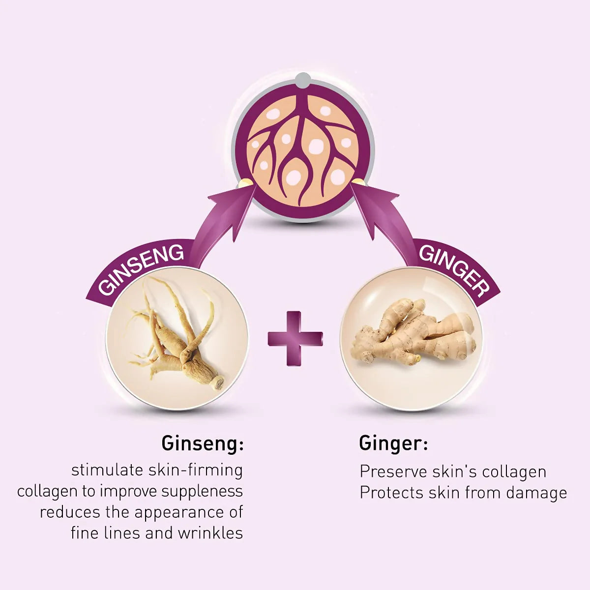 Lotus Herbals Youthrx Anti Ageing Transforming Gel Cream