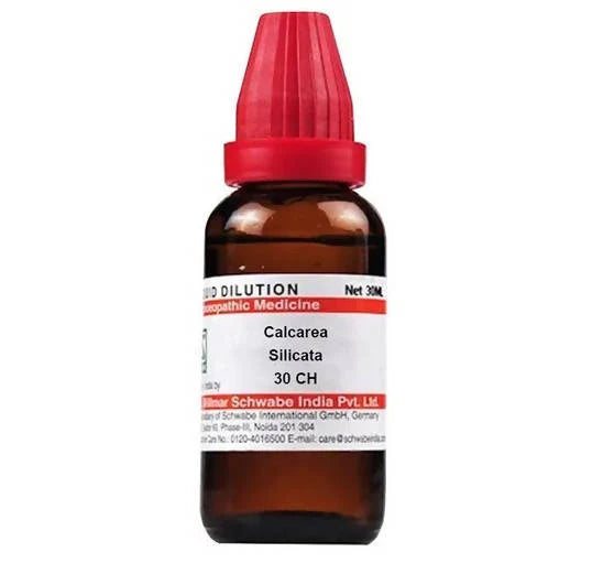 Dr. Willmar Schwabe India Calcarea Silicata Dilution -6 CH