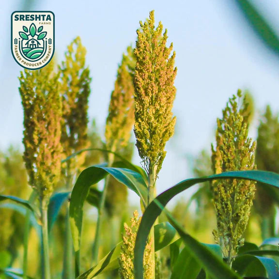 Sreshta Farms Jowar Ravva (Jonna Ravva) - 500 gm