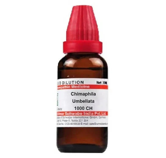 Dr. Willmar Schwabe India Chimaphila Umbellata Dilution -6 CH