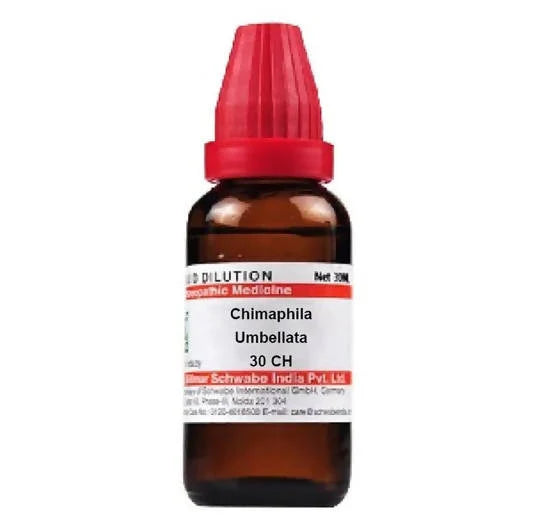 Dr. Willmar Schwabe India Chimaphila Umbellata Dilution -6 CH