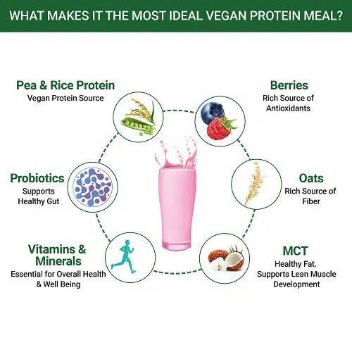 Inlife Vegan Protein Meal Mixed Berry Flavour - 500 gm