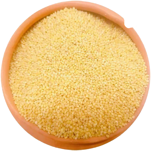Organic Foxtail Millet