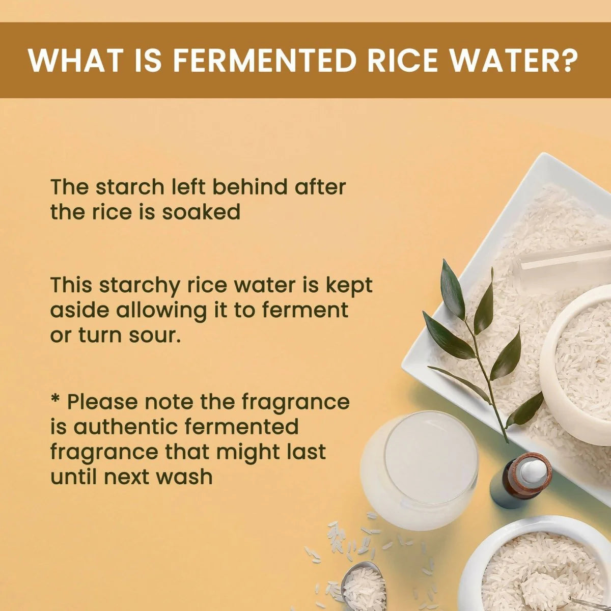 Alps Goodness Fermented Rice Water For Hair & Skin