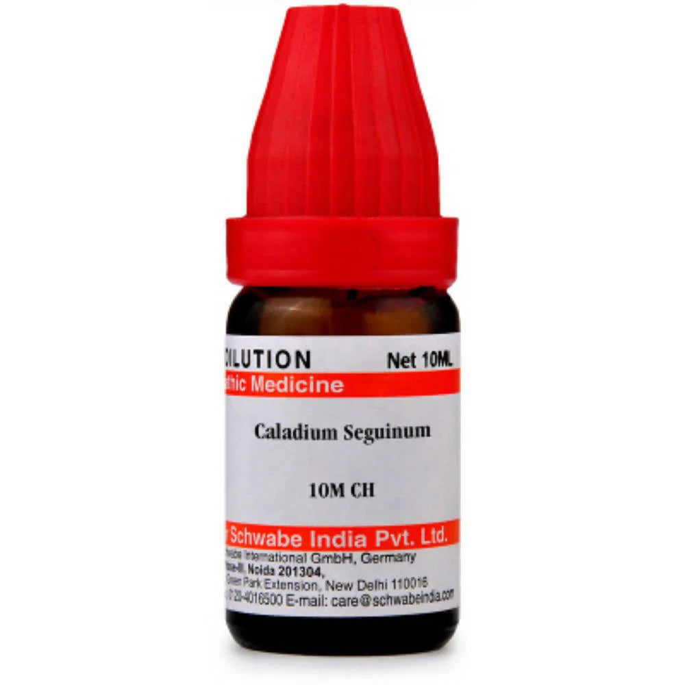 Dr. Willmar Schwabe India Caladium Seguinum Dilution -6 CH