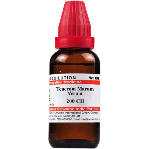 Dr. Willmar Schwabe India Teucrium Marum Verum Dilution -6 CH -