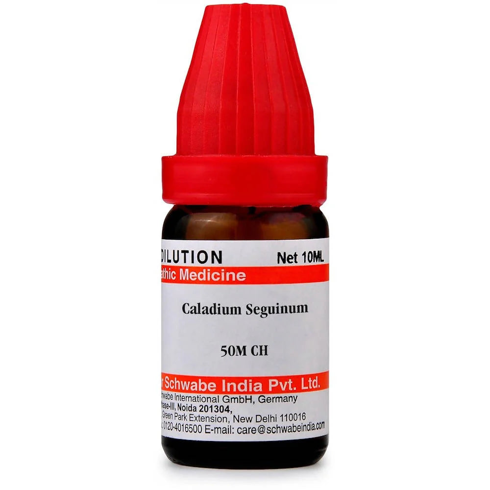 Dr. Willmar Schwabe India Caladium Seguinum Dilution -6 CH