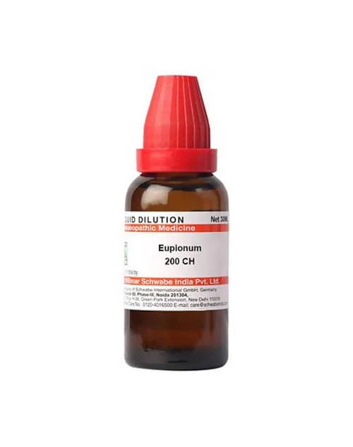 Dr. Willmar Schwabe India Eupionum Dilution -6 CH