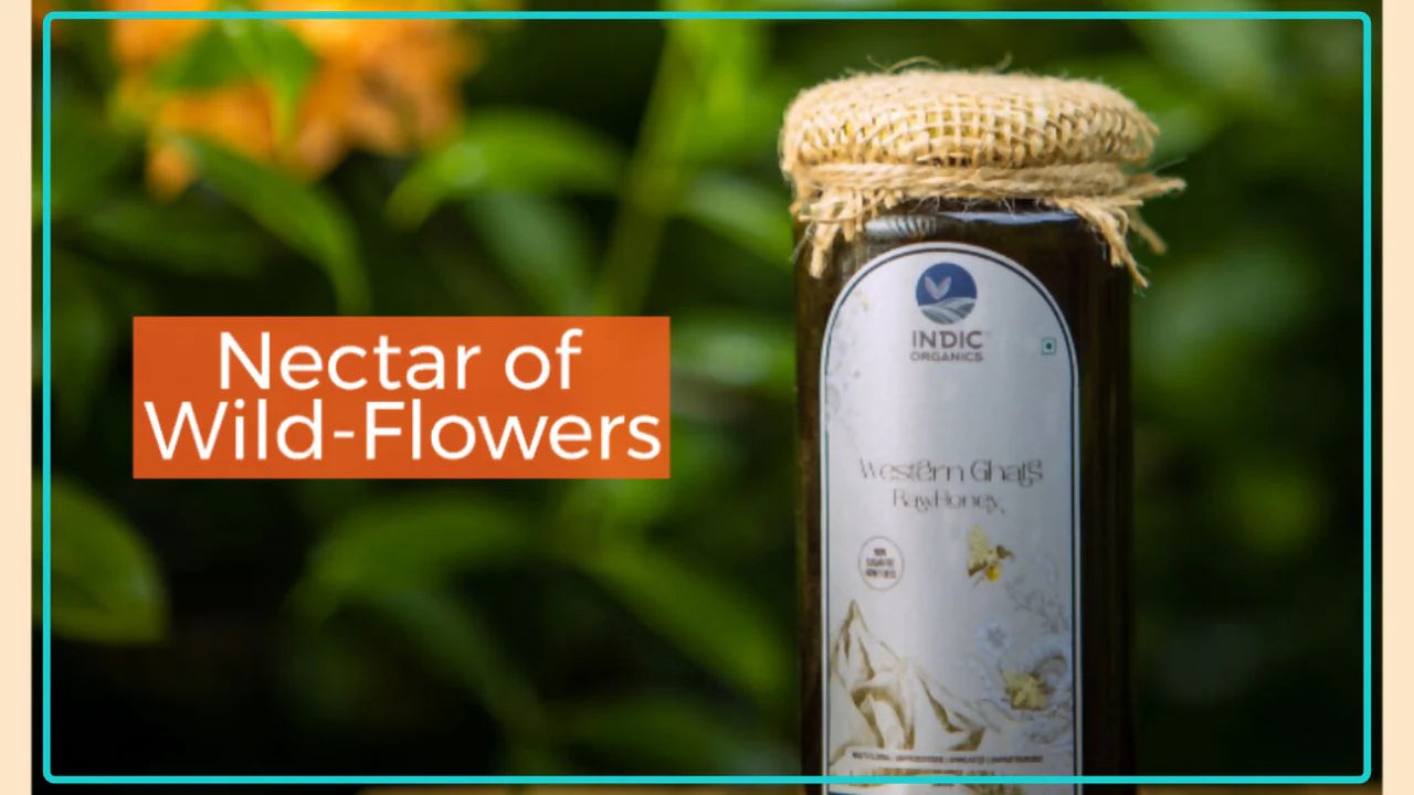 Indic Organics Small Stingless Bee Raw Honey from Western Ghats