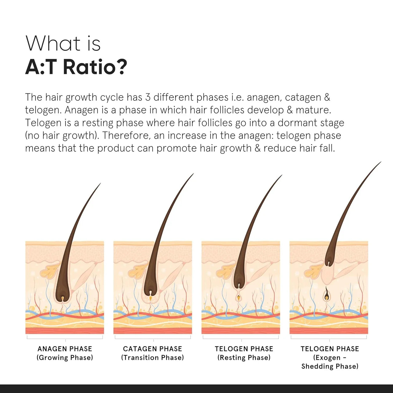 Minimalist Hair Growth Actives 18%