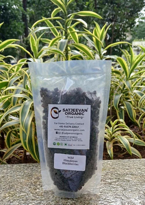 Satjeevan Wild Himalayan Blackberries - 200 gm
