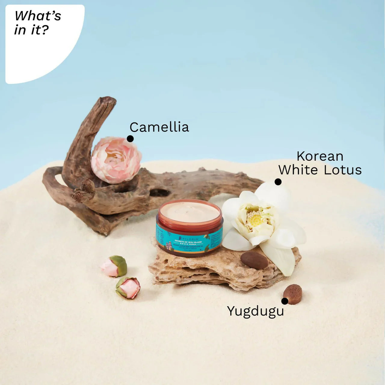 Pilgrim Korean White Lotus Day Cream SPF 50 With Camellia And Yugdugu -100 gm