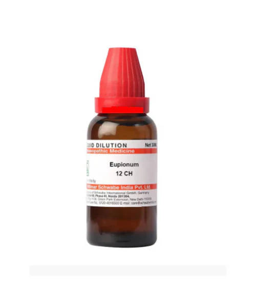 Dr. Willmar Schwabe India Eupionum Dilution -6 CH