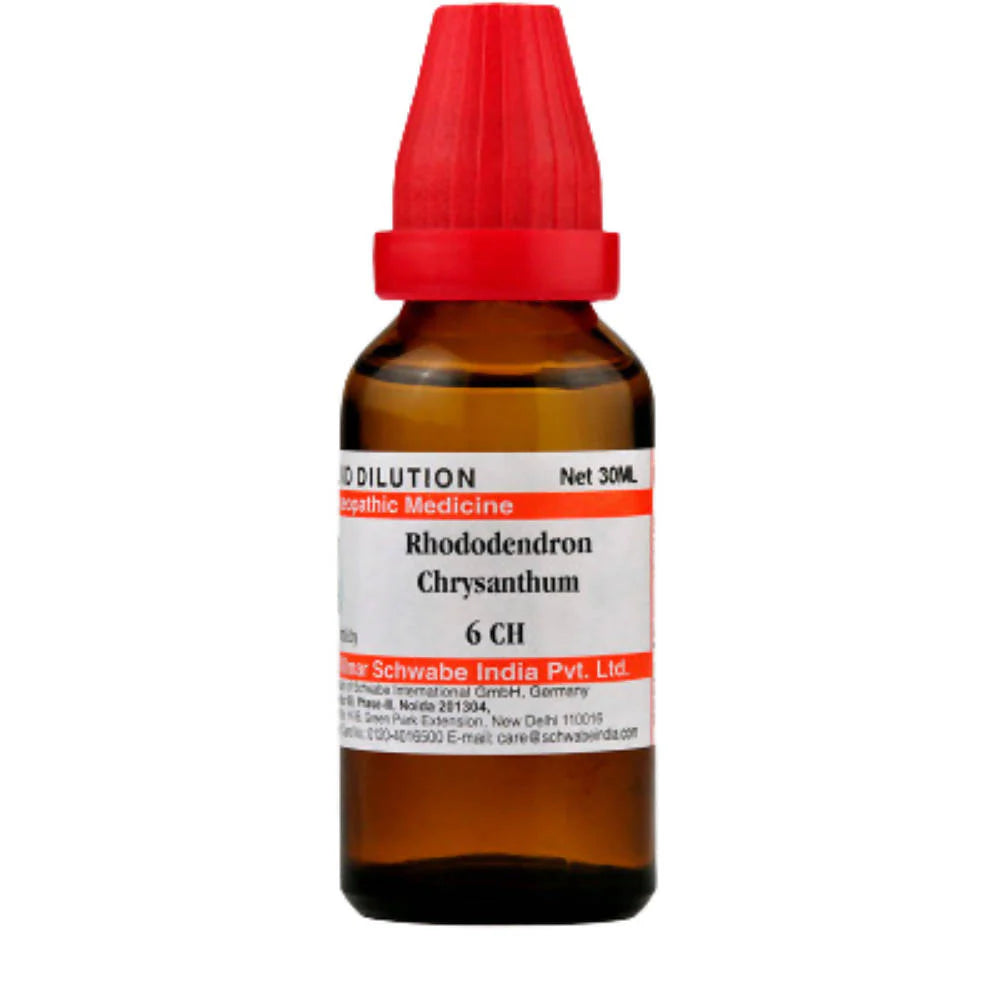 Dr. Willmar Schwabe India Rhododendron Chrysanthum Dilution -6 CH