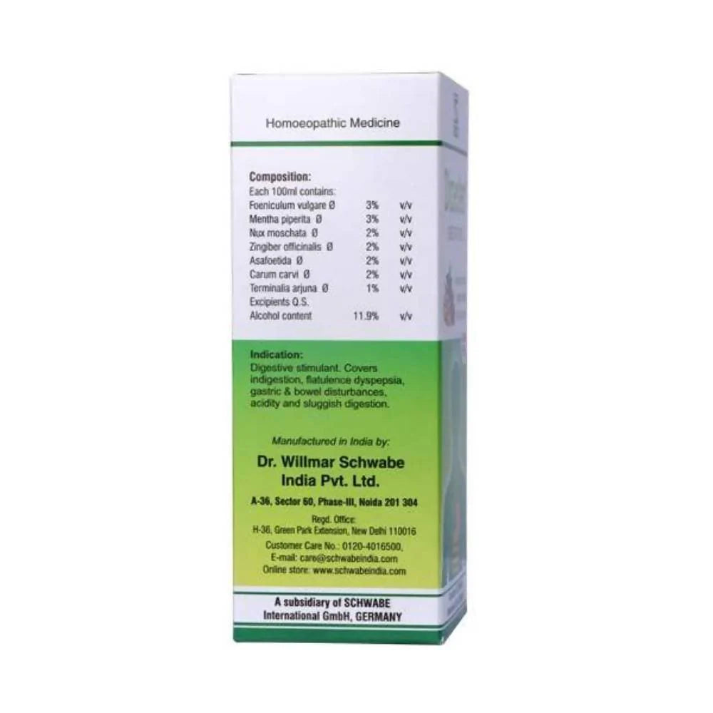 Dr. Willmar Schwabe India Dizester Digestive Tonic -100 ml