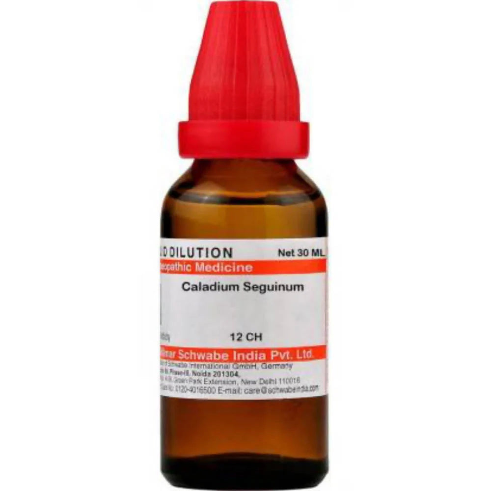 Dr. Willmar Schwabe India Caladium Seguinum Dilution -6 CH