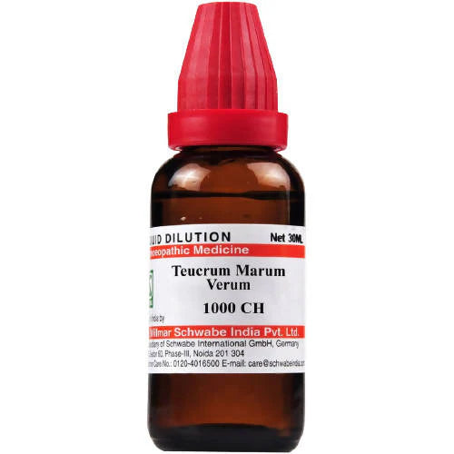 Dr. Willmar Schwabe India Teucrium Marum Verum Dilution -6 CH -