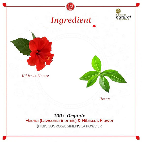 Khadi Natural Organic Henna & Hibiscus Flower Powder - 100 gm
