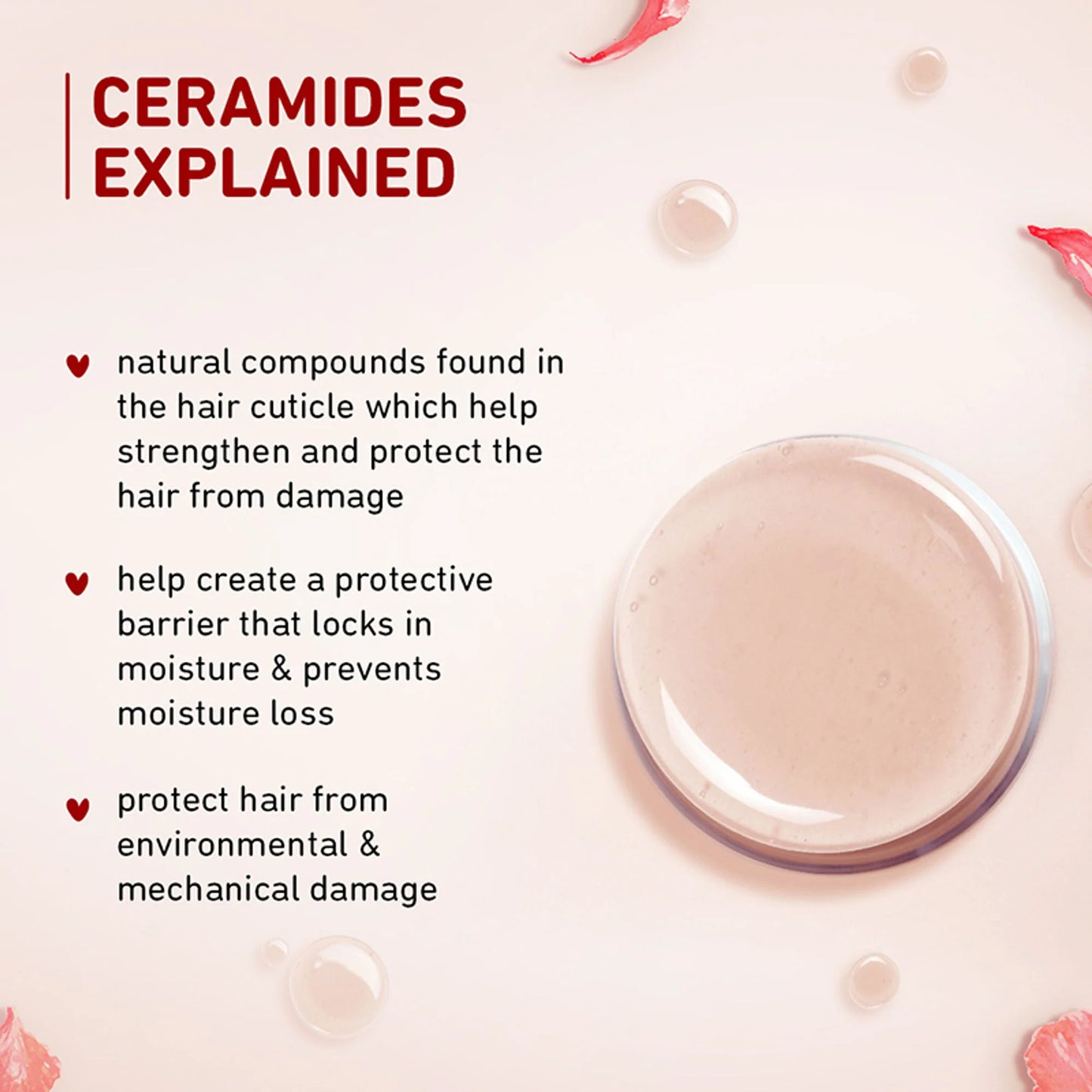 Plum Hibiscus & Ceramides Conditioner For Healthy- Long Hair - 175 gm