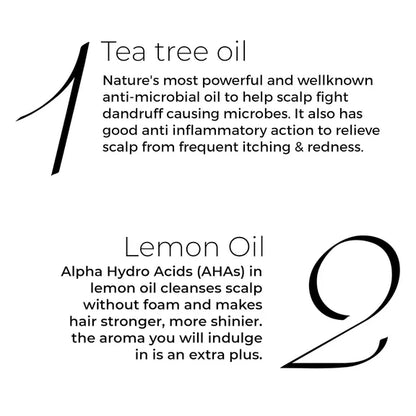 Brillare Tea Tree Hair Oil with The Goodness of Lemon & Sunflower Oil Dry - 100 ml