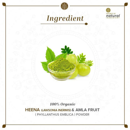 Khadi Natural Organic Henna & Amla Fruit Powder - 100 gm