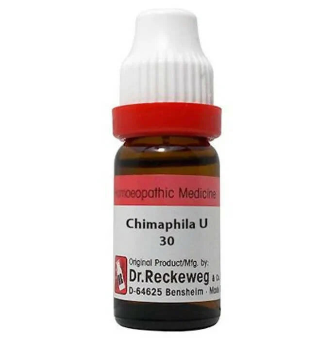 Dr. Reckeweg Chimaphila Umb Dilution