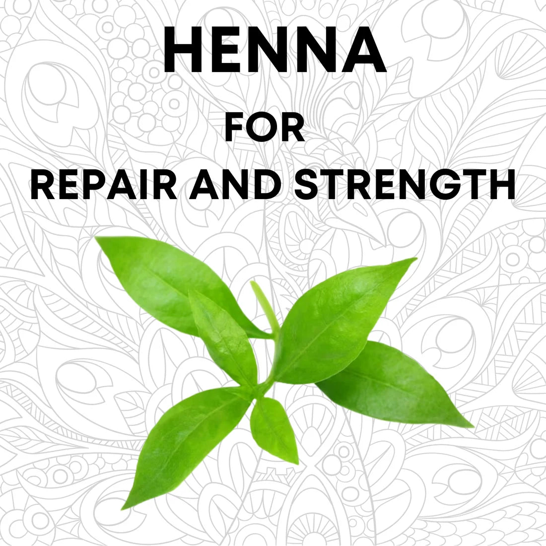 Henna Powder | 100% Pure Lawsonia Inermis for Natural Hair Color & Conditioning | 100Gm
