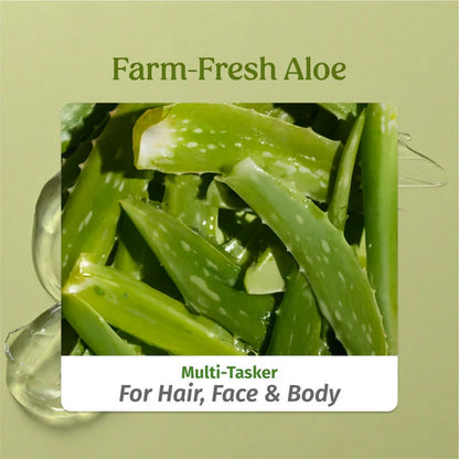 Vilvah Store Aloe Vera Gel (Multi-Purpose Skin & Hair Care) - 100 gm
