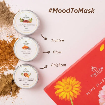 Mini Masking Kit
