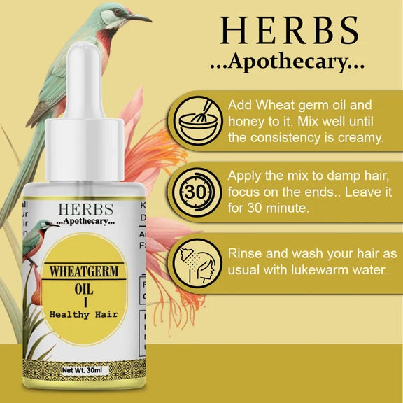 Zenvista Herbs Apothecary Wheatgerm Oil For Hair - 30 ml