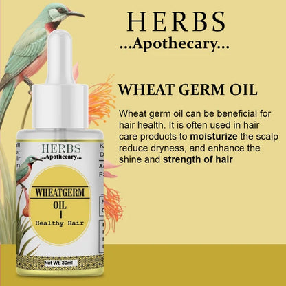 Zenvista Herbs Apothecary Wheatgerm Oil For Hair - 30 ml