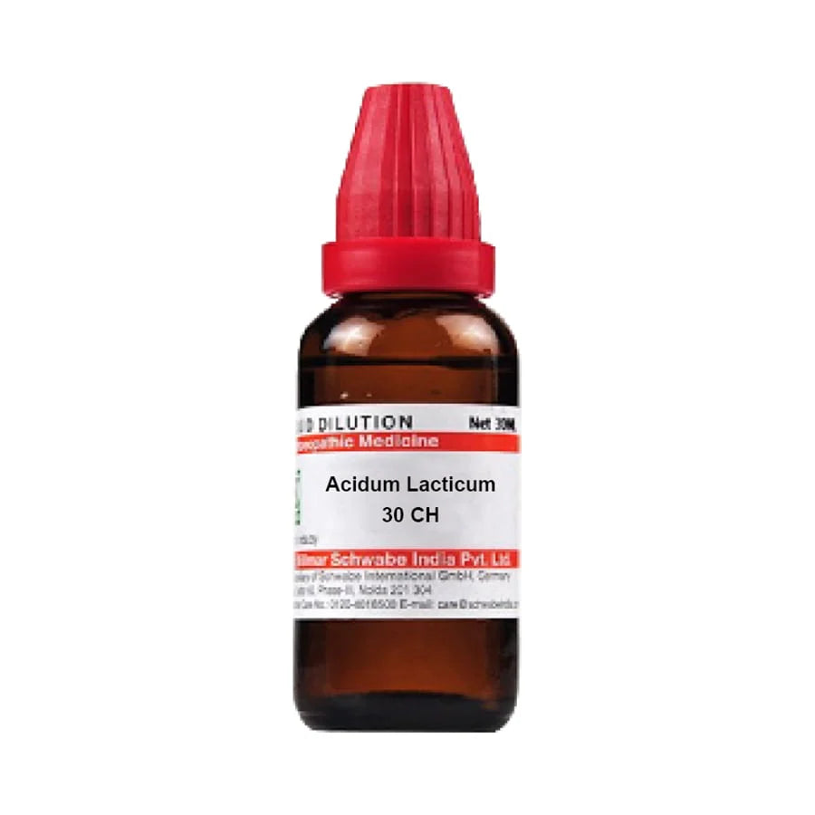 Dr. Willmar Schwabe India Acidum Lacticum Dilution -6 CH -