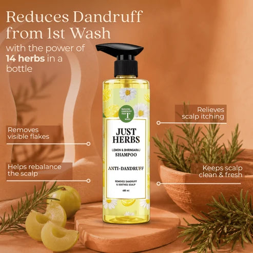 Anti Dandruff Shampoo 480ml | Lemon, Bhringraj & 12 Herbs