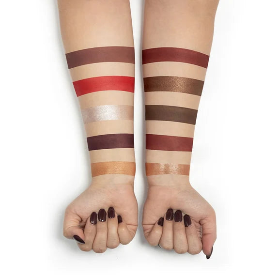 Character 10 Color Eyeshadow Palette - Cep004 - 15 gm