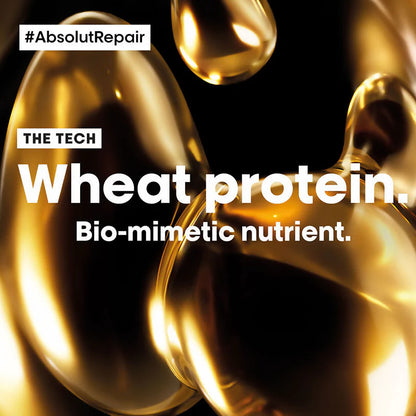 L'Oreal Professionnel Absolut Repair Shampoo& Hair Mask Combo, Serie Expert