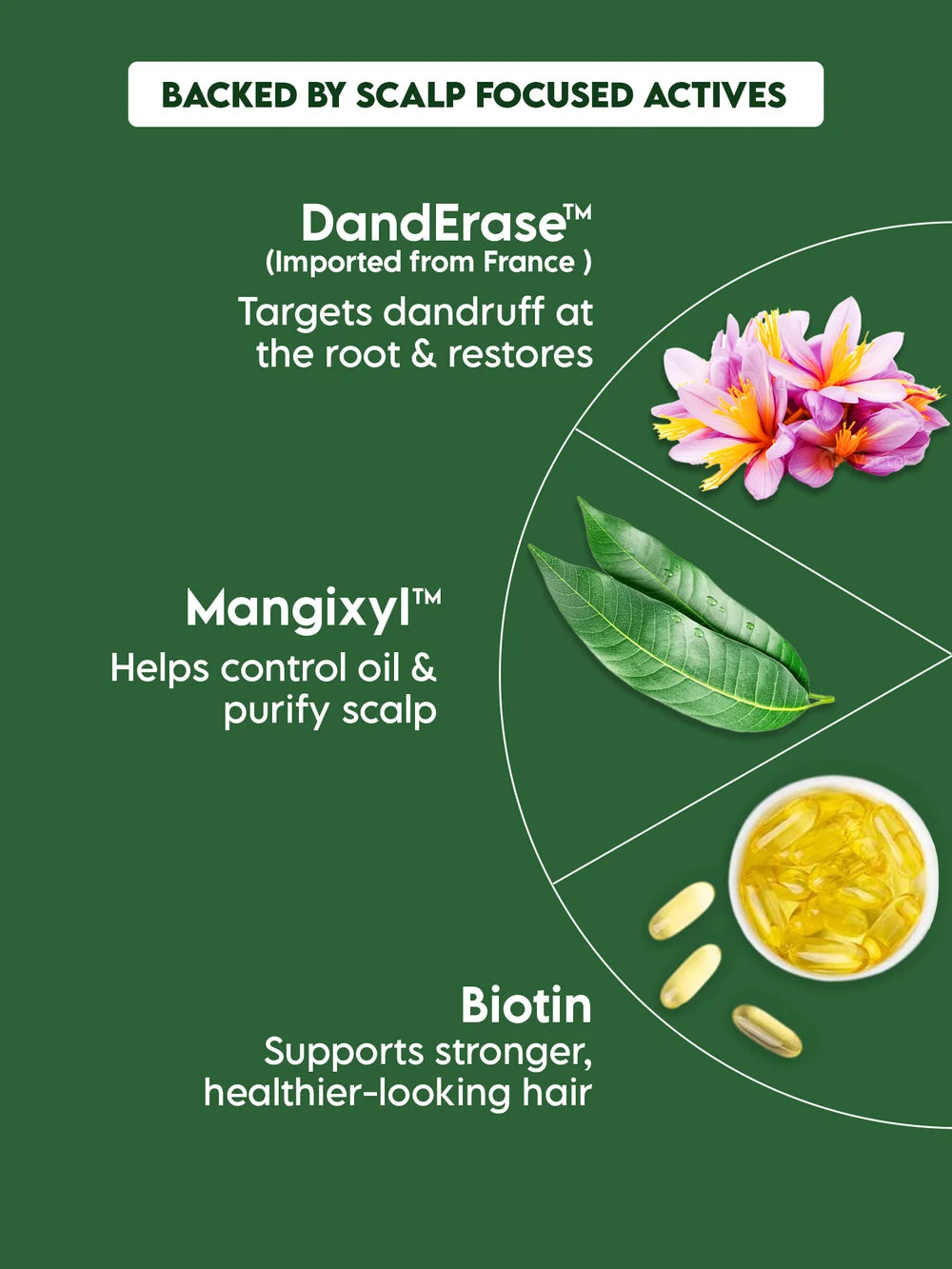Clensta Anti-Dandruff Hair Serum