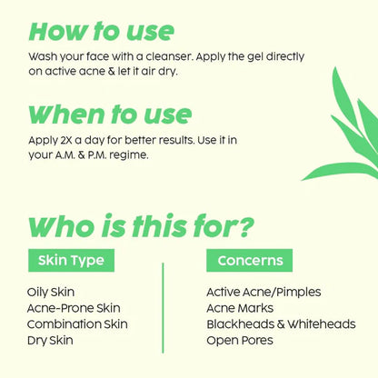 PLIX The Plant Fix Jamun Acne Spot Corrector Gel For Reducing Active Acne