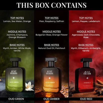 Intense Oud Trio