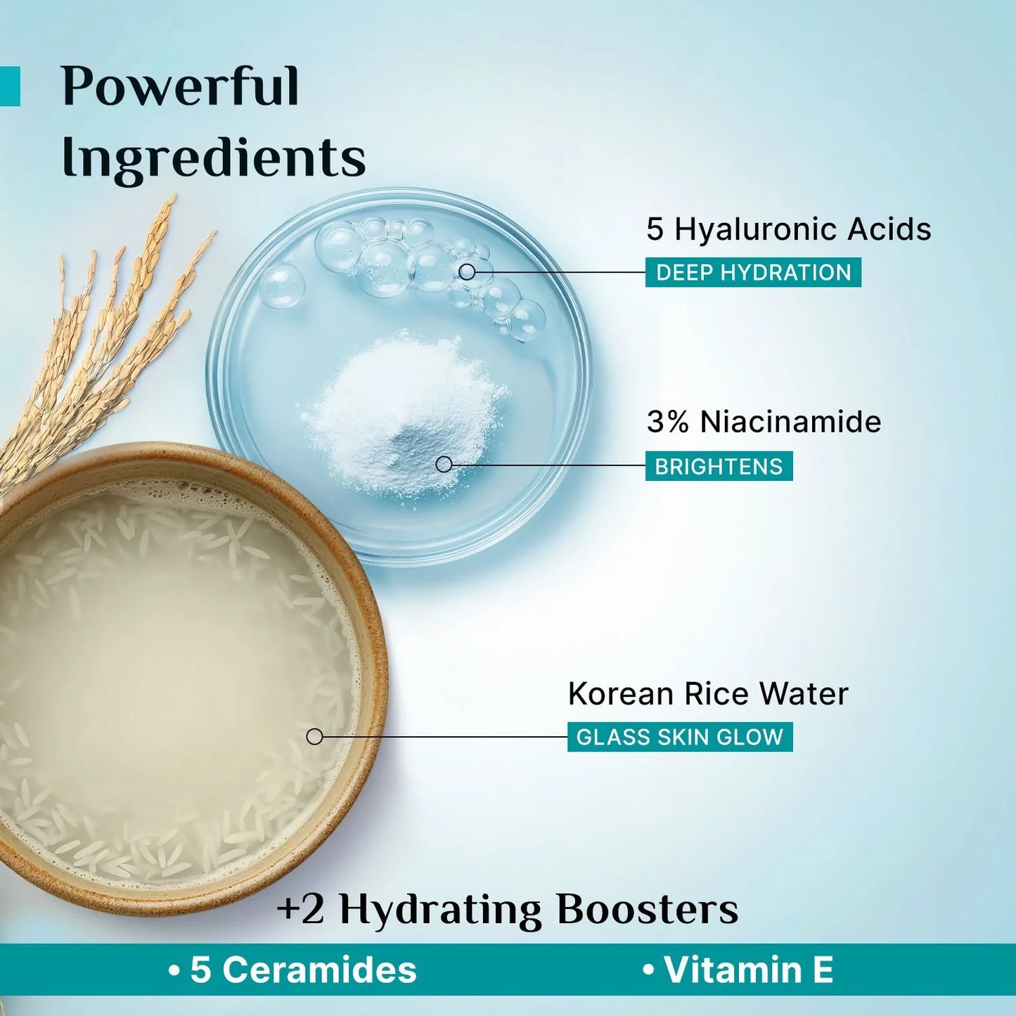 Pilgrim Korean Rice Water Hydra Glow Light Gel Moisturizer - 50 gm