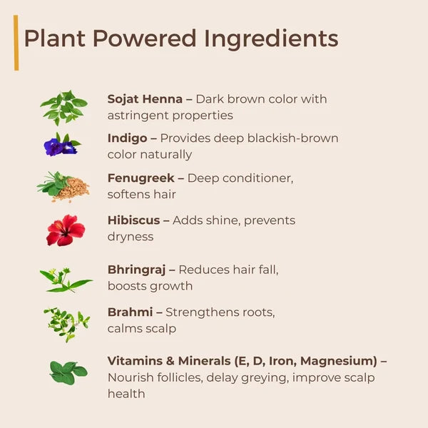 Hair Colour Kit - Herbal Hair Dye with Premium grade ingredients for Long-lasting Black Colour