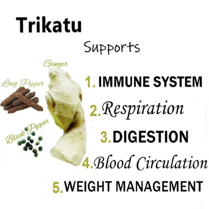Himalaya Wellness Pure Herbs Trikatu Digestive Wellness -Pack of 1