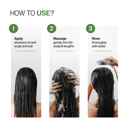 Bare Anatomy Expert Anti-Dandruff Shampoo with Salicylic Acid & Biotin