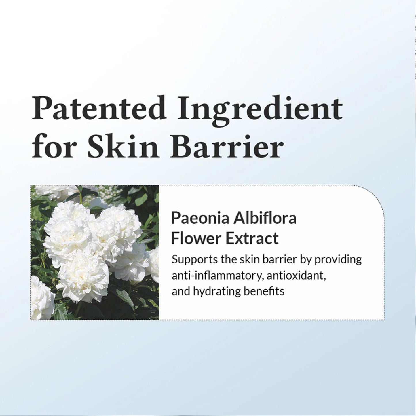 Dr.Althea 147 Barrier Cream: Rich Ceramide & hyaluronic acid infused cream for Damaged Skin Barrier - 50 ml