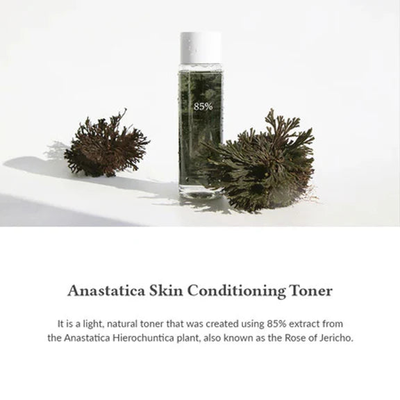 Dr.Althea Resurrection Plant Conditioning Toner: Hydrating & Skin Barrier Repair Toner - 250 ml