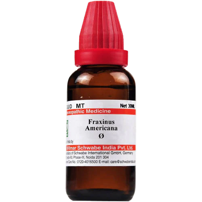 Dr. Willmar Schwabe India Fraxinus Americana Mother Tincture -1X -