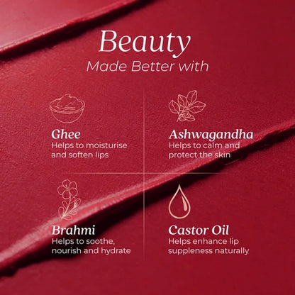 Herb‑Enriched Matte Liquid Lipstick Set of 10