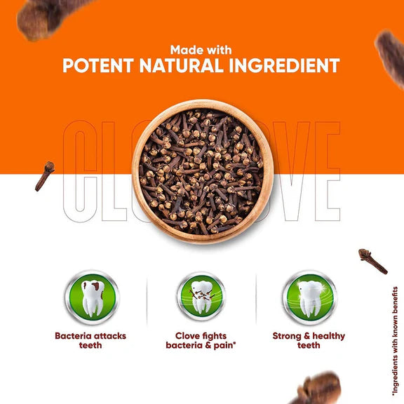 Dabur Herb'l Clove - Cavity Protection Toothpaste - 200 gm